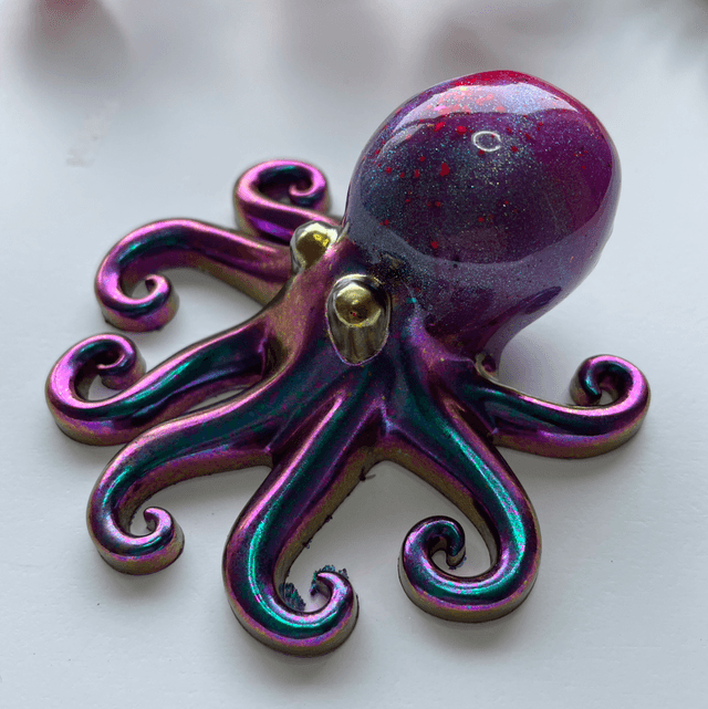Octopus